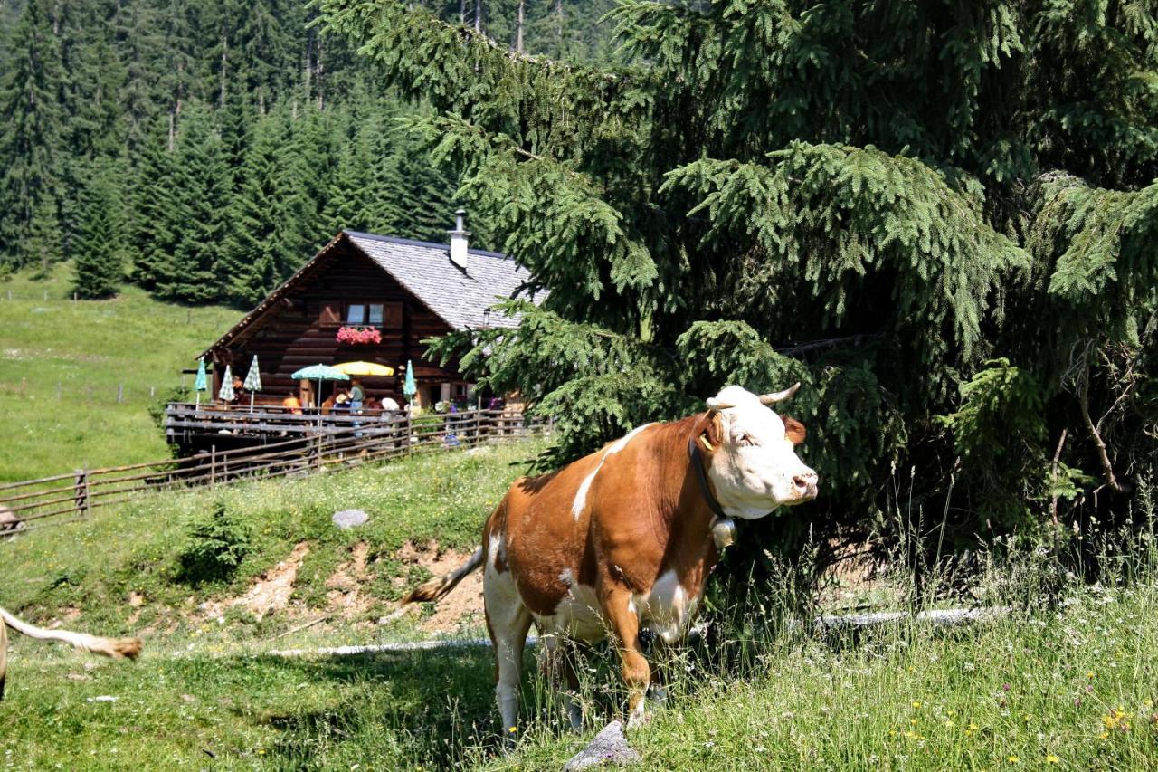 Chalet 164 Бад Гойзерн Екстериор снимка